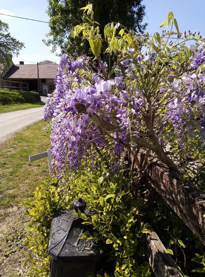 Le Beauregard Bed & Breakfast Ranes Exterior photo